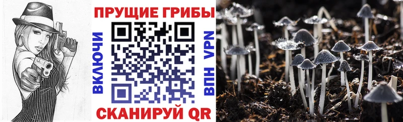 Псилоцибиновые грибы GOLDEN TEACHER  Кунгур 